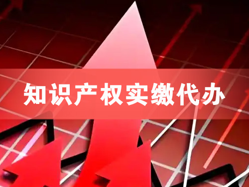 海口知识产权实缴资本代办